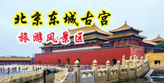 骚逼被大鸡巴操的下不了床的免费视频粉嫩中国北京-东城古宫旅游风景区